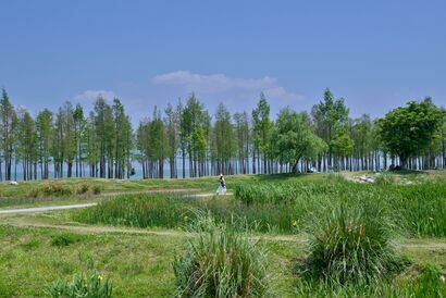 Sponda del lago Erhai con alberi - a Photographic Art Artowrk by Danilo Masoch